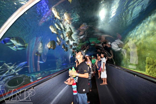 du lich nha trang bang may bay